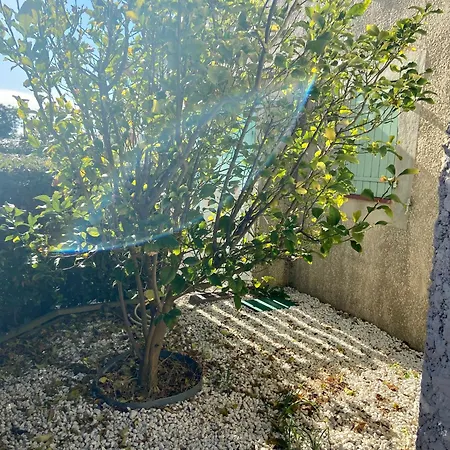 Domitia Feriehus Loupian